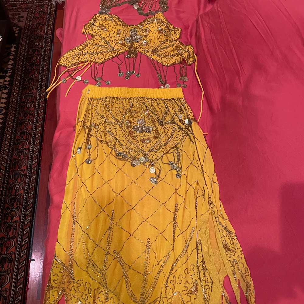 Belly dancing outfit